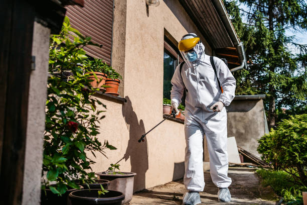 Best Flea Control Services  in Corinth, MS