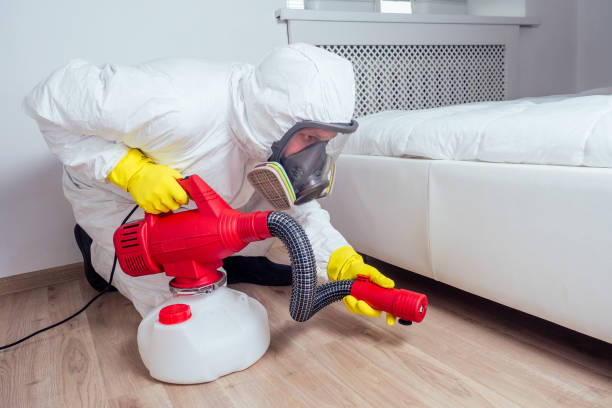 Best Cockroach Control Services  in Corinth, MS