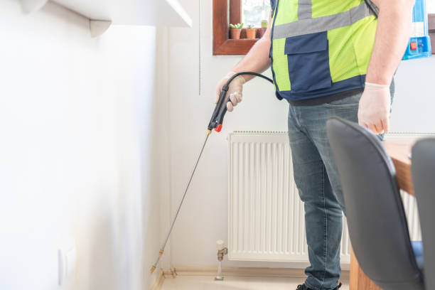 Flea Control Services in Corinth, MS