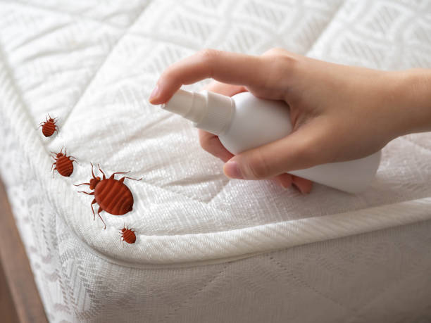 Best Commercial Pest Control Services  in Corinth, MS