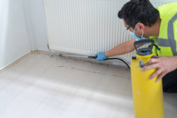 Best Pest Removal Services  in Corinth, MS