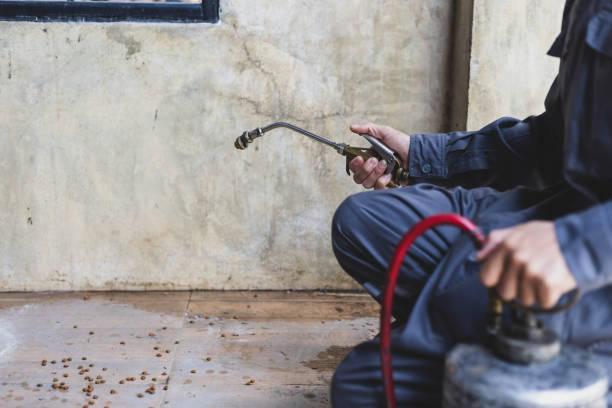 Professional Pest Control in Corinth, MS